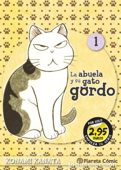 books: La abuela y su gato gordo- 9788411122603