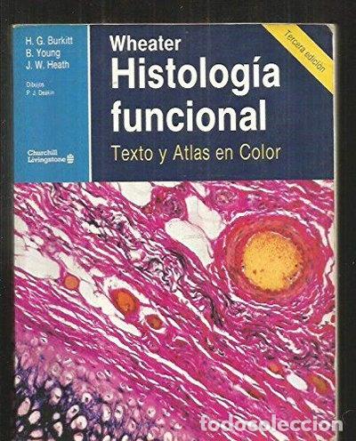Libros: Histolog&iacute;a funcional- 9788420523088 - Foto 1