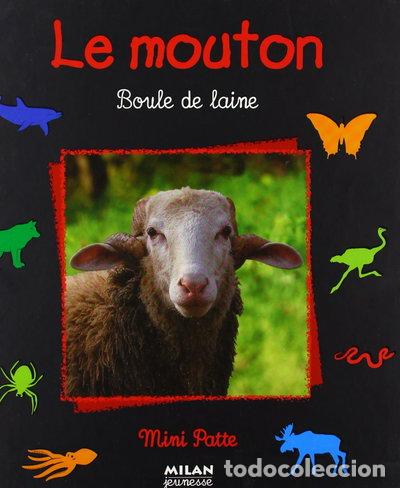 Libros: Le Mouton- 9782745906557 - Foto 1