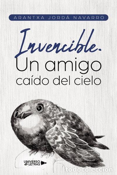 Libros: Invencible. Un amigo ca&iacute;do del cielo- 9788419613417