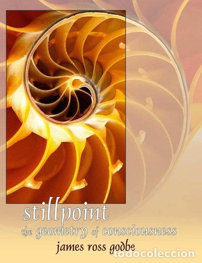 books: Stillpoint: The Geometry of Consciousness- 9780692057063