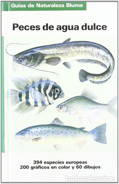 Livros em segunda m&atilde;o: Peces de agua dulce- 9788487535642