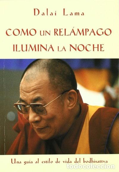 Livres: Como un rel&aacute;mpago ilumina la noche- 9788493028831