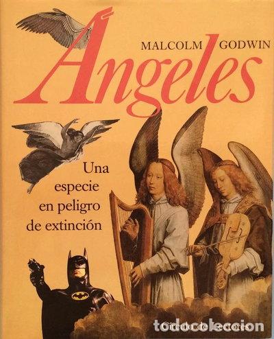 Libros: &Aacute;ngeles. Una especie en peligro de extinci&oacute;n- 9788422637431