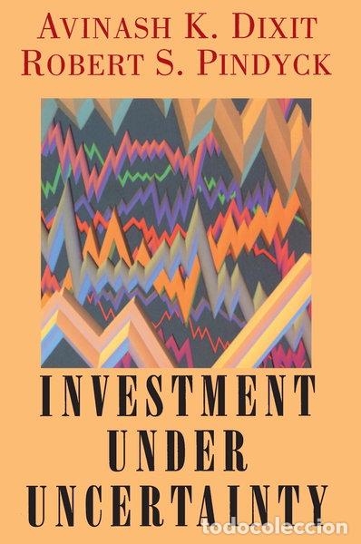 Libros: Investment under uncertainty- 9780691034102
