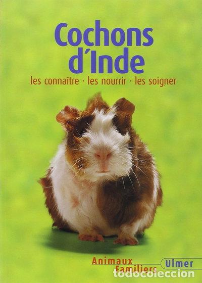 Libros: Cochons d'Inde : les conna&icirc;tre, les nourrir, les soigner- 9782841381708