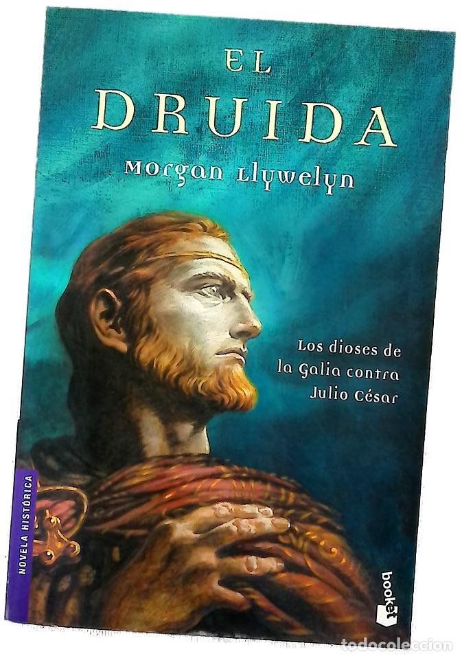 books: El druida - Llywelyn, Morgan