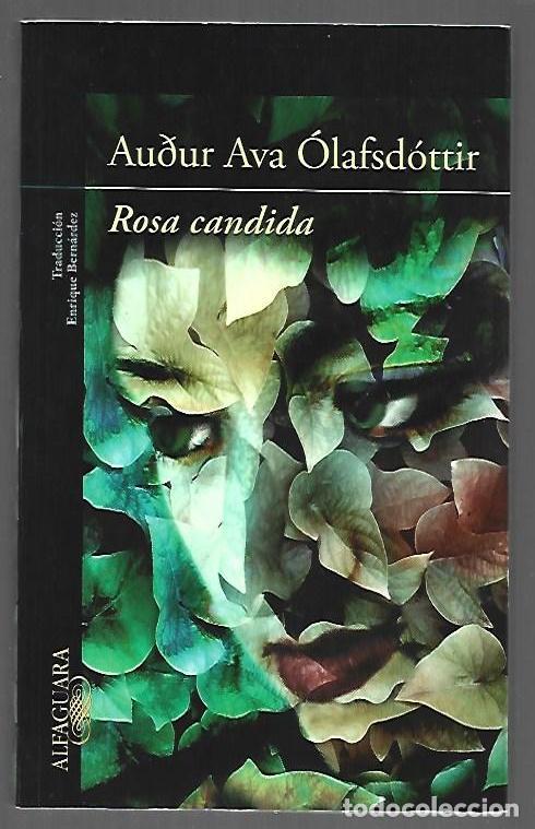 Libros: ROSA CANDIDA - OLAFSDOTTIR, AUDUR AVA - Foto 1