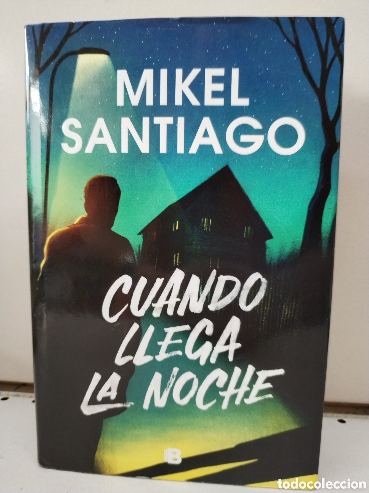 Libros: Cuando llega la noche - Santiago, Mikel - Foto 1