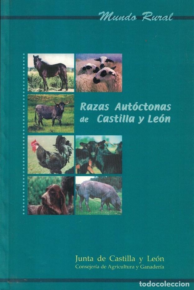 Libros: RAZAS AUT&Oacute;CTONAS DE CASTILLA Y LE&Oacute;N. - Lacasa. Gaudioso, y otros.