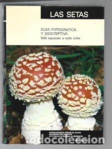 Libros: LAS SETAS. GUIA FOTOGR&Aacute;FICA Y DESCRIPTIVA. 800 especies a todo color. - Ram&oacute;n Mendoza Rinc&oacute;n, Guille