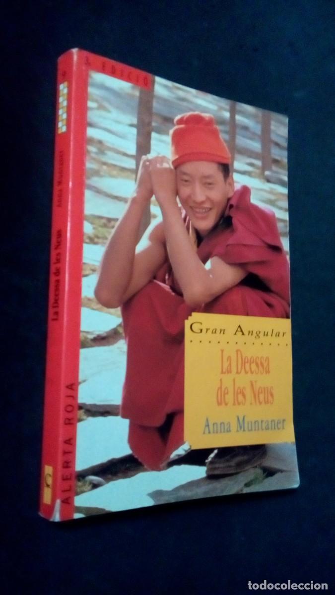 Libros: GRAN ANGULAR - LA DEESSA DE LES NEUS -ANNA MUNTANER