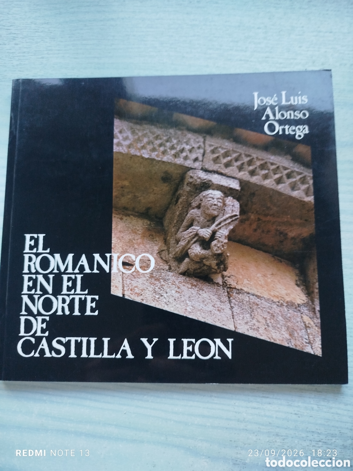Libros: El rom&aacute;nico en el norte de castilla y leon