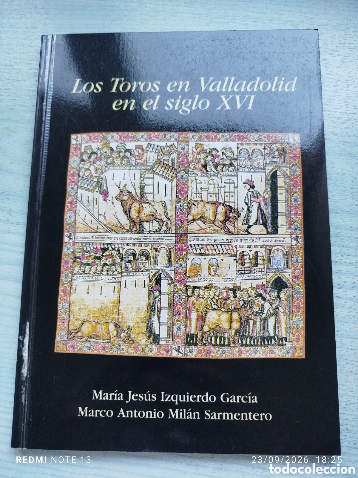 Libros: Los toros en Valladolid en el siglo XVI