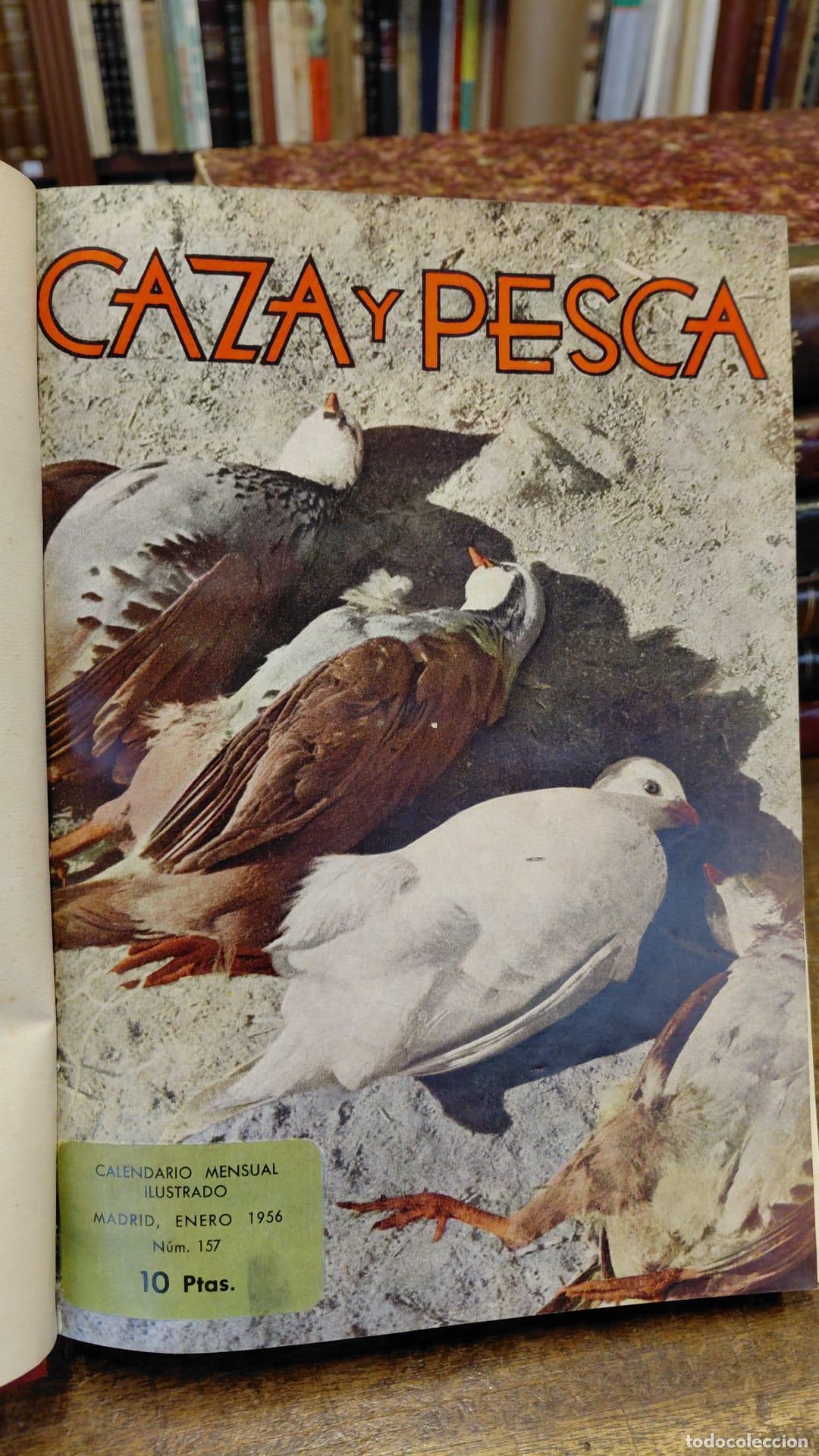 Libros: CAZA Y PESCA. - ESPA&Ntilde;A, Joaqu&iacute;n. - Foto 2