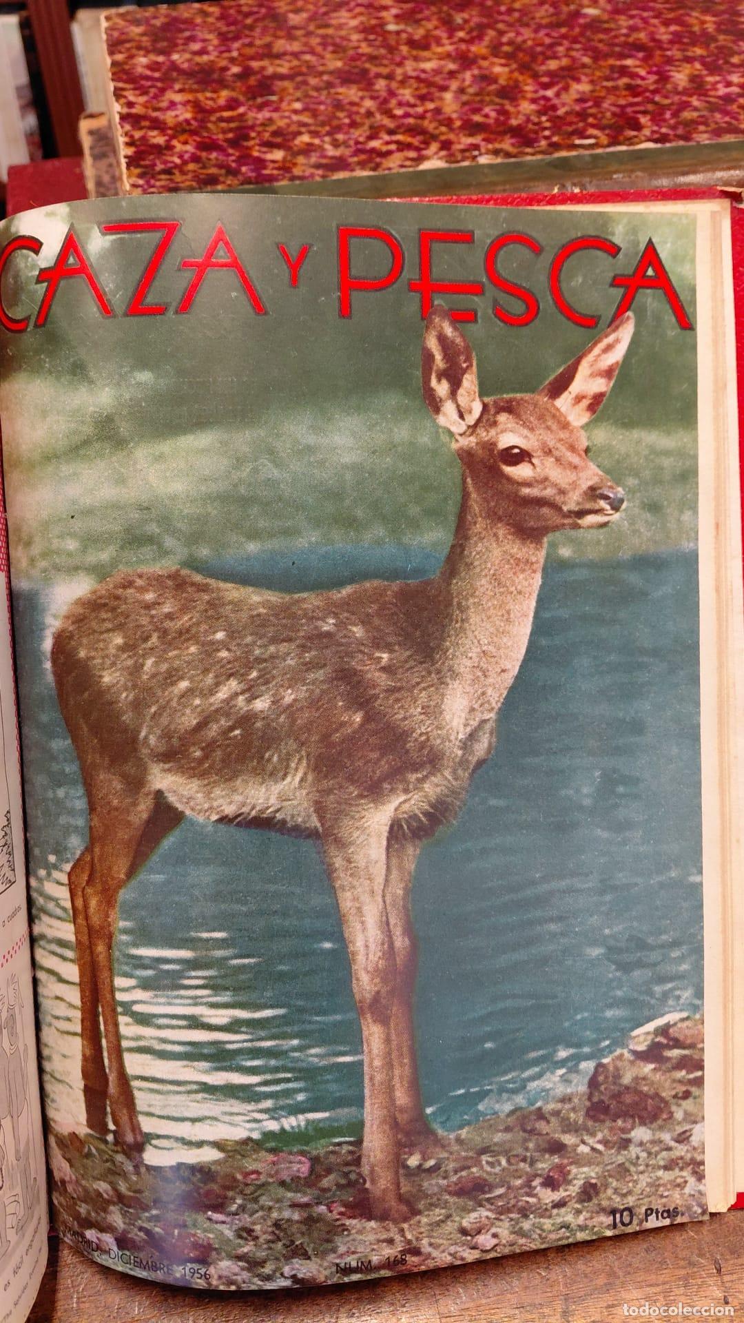 Libros: CAZA Y PESCA. - ESPA&Ntilde;A, Joaqu&iacute;n. - Foto 3