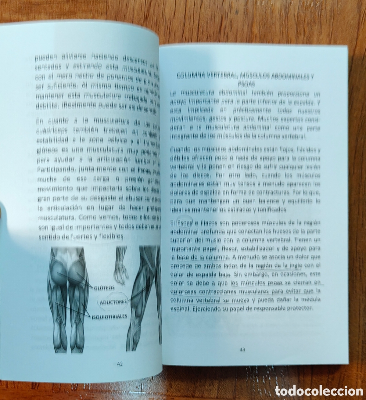 Libros: L5 S1: Recupera tu vida normal - David Mart&iacute;n B. - Foto 3