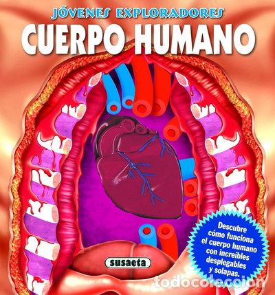B&uuml;cher: J&oacute;venes exploradores. Cuerpo humano- 9788430526529