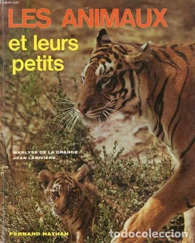 Libros: Les animaux et leurs petits- 9782092901809