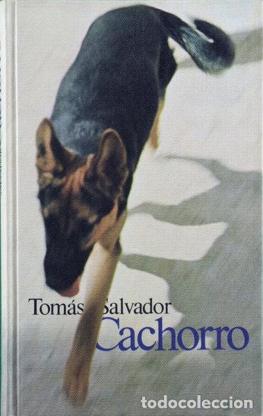 Libros: Cachorro- 9788422608707 - Foto 1