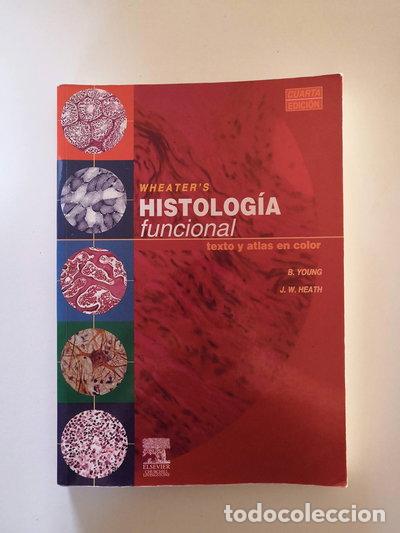 B&uuml;cher: Wheater's Histolog&iacute;a Funcional- 9788481744996