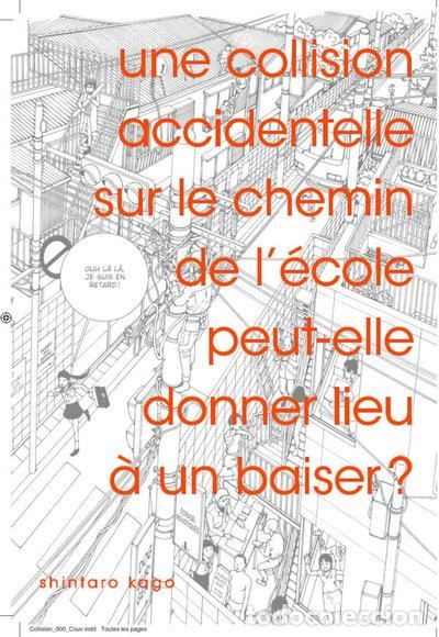 Livres: Une collision accidentelle sur le chemin de l'&eacute;cole peut-elle donner lieu &agrave; u...- 9782915517774