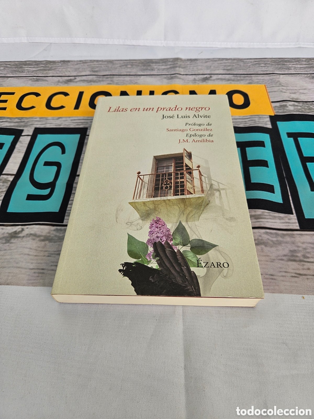 Libros: LILAS EN UN PRADO NEGRO. JOSE LUIS ALVITE. SANTIAGO GONZALEZ. AMILIBIA. EZARO