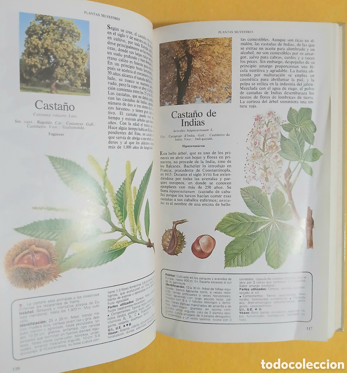 Libros: Secretos y virtudes de las plantas medicinales - Foto 5