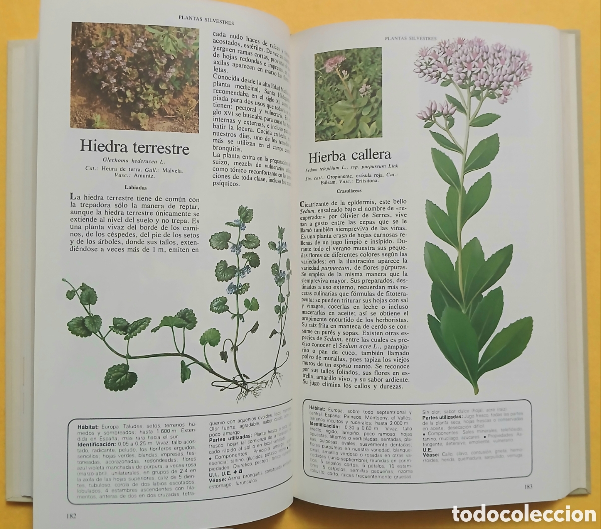 Libros: Secretos y virtudes de las plantas medicinales - Foto 7