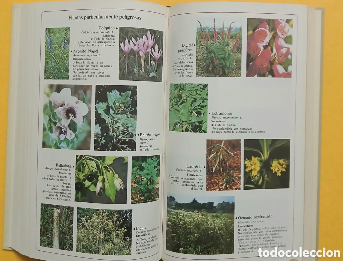 Libros: Secretos y virtudes de las plantas medicinales - Foto 8