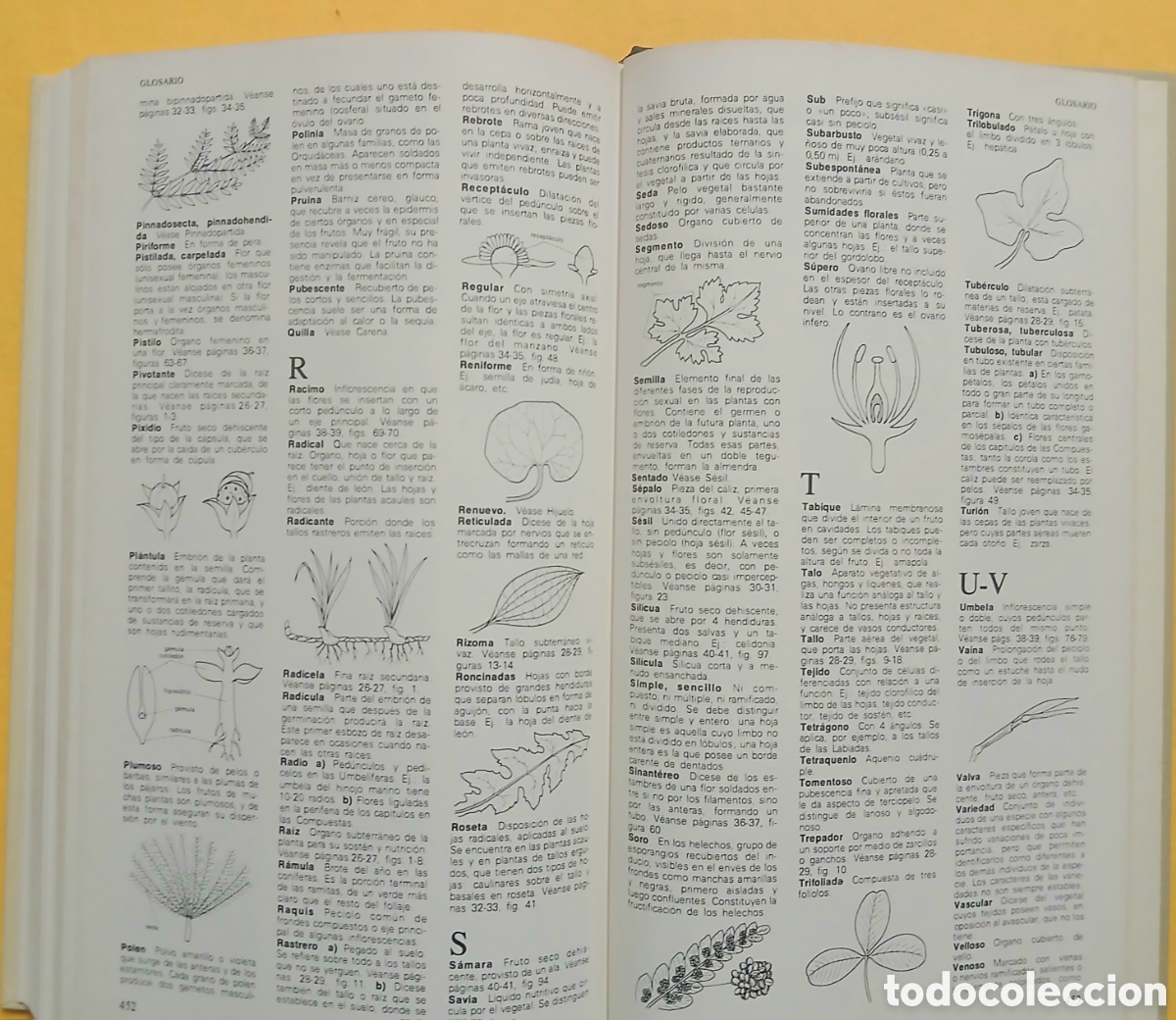 Libros: Secretos y virtudes de las plantas medicinales - Foto 9