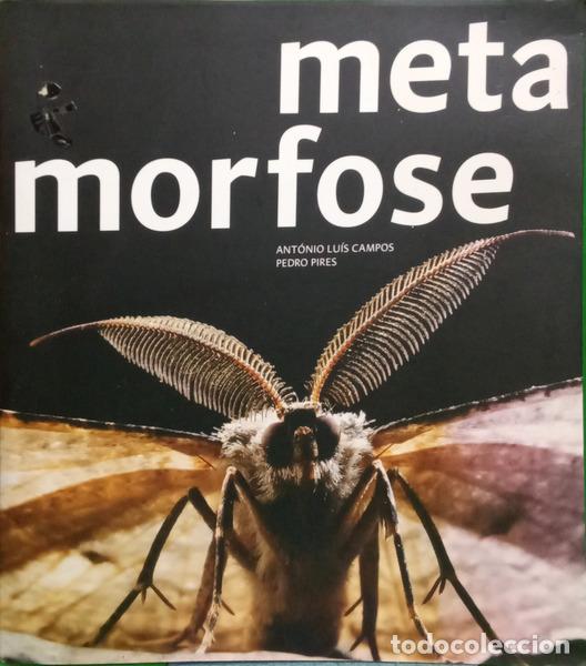 Livros em segunda m&atilde;o: CAMPOS. (Ant&oacute;nio Lu&iacute;s) e Pedro Pires. - METAMORFOSE.