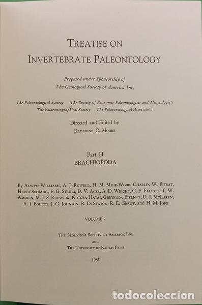 B&uuml;cher: MOORE. (Raymond C.) et al. - TREATISE ON INVERTEBRATE PALEONTOLOGY, PART H, BRACHIOPODA, VOLUME 2. [