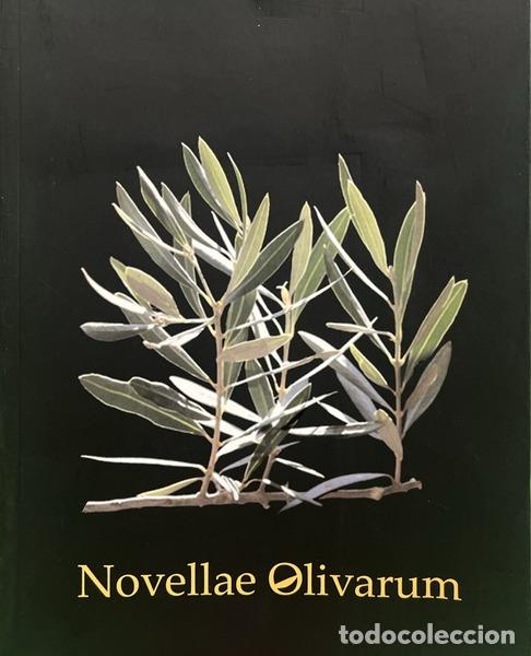 B&uuml;cher: NOVELLAE OLIVARUM: REVISTA DE TEOLOGIA E CULTURA DO SEMIN&Aacute;RIO DOS OLIVAIS. N&Uacute;MERO ESPECIAL, OUTUBRO