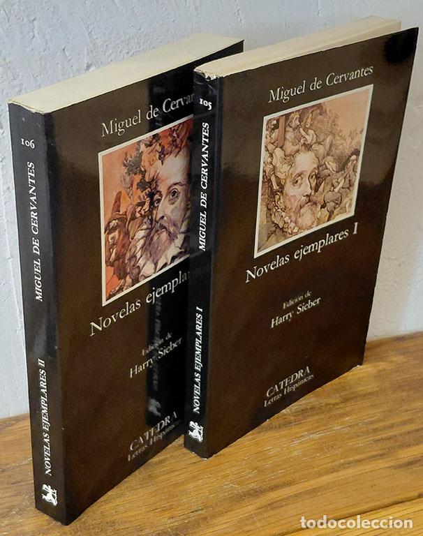 Libros: NOVELAS EJEMPLARES I y II - MIGUEL DE CERVANTES SAAVEDRA - Foto 1