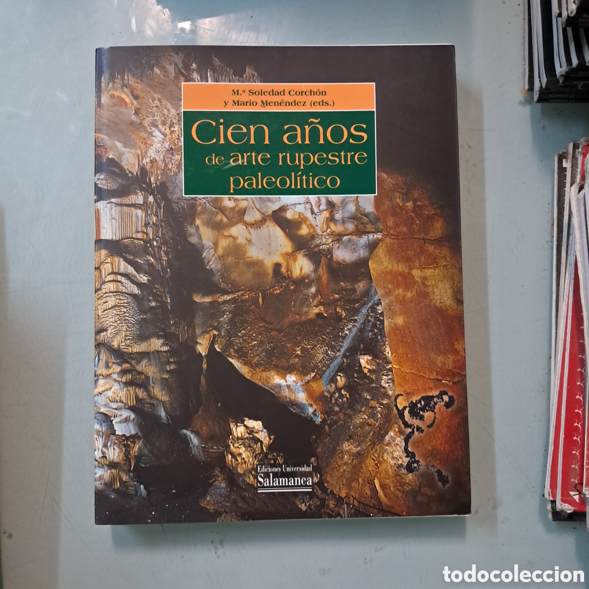 Libros: Mar&iacute;a Soledad Corchon, Cien a&ntilde;os de arte rupestre paleol&iacute;tico, Salamandra
