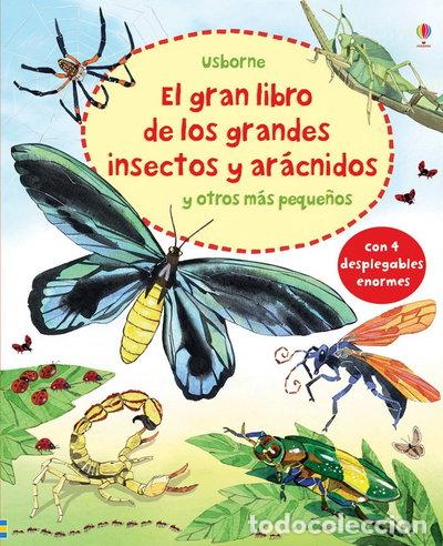 Libros: El Gran Libro De Los Grandes Insectos Y Ar&aacute;cnidos Y Otros M&aacute;s Peque&ntilde;os- 9781409557890