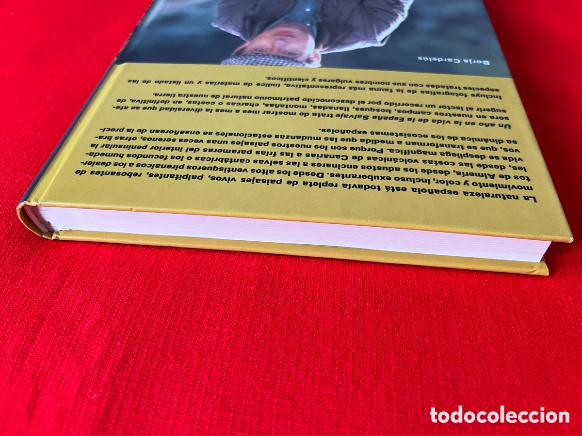 Libros: Libro Un a&ntilde;o en la vida de la Espa&ntilde;a salvaje - Foto 3