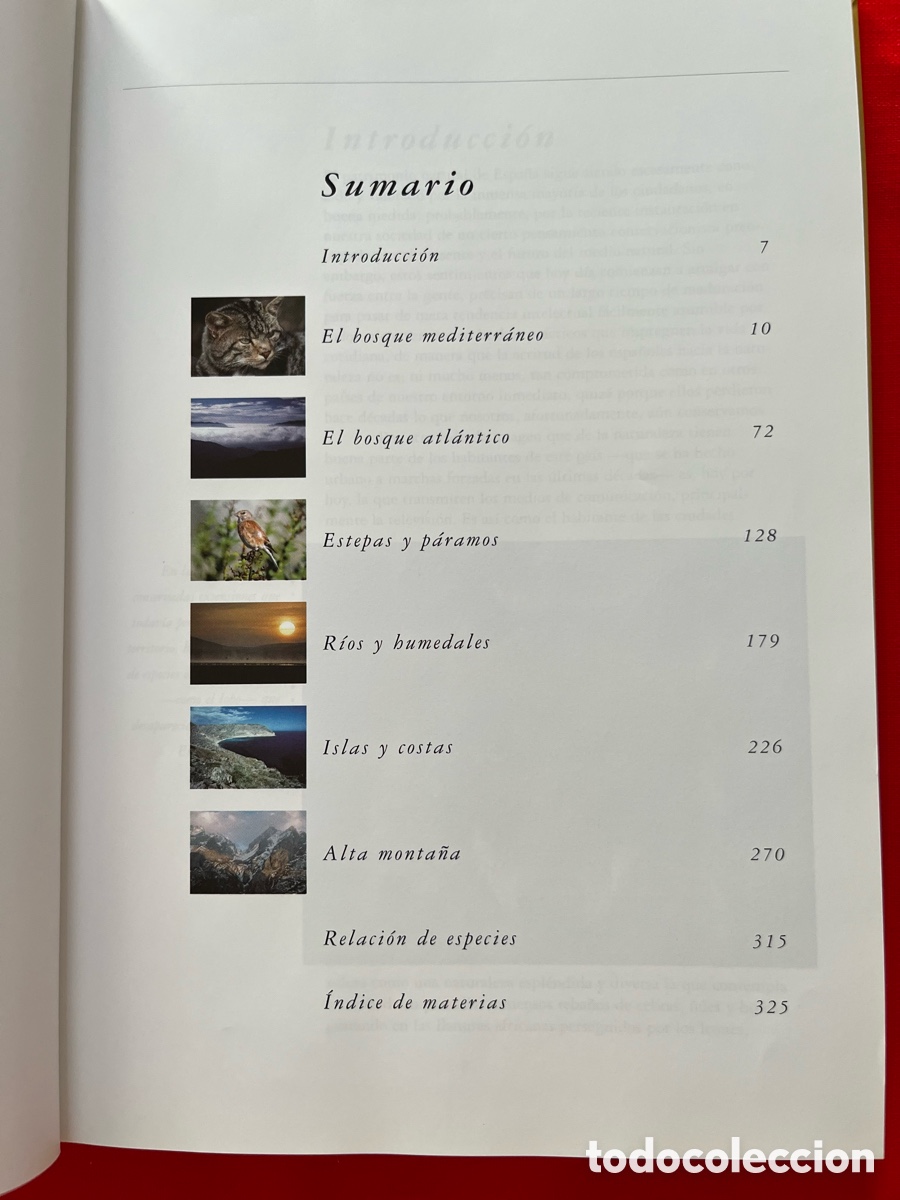 Libros: Libro Un a&ntilde;o en la vida de la Espa&ntilde;a salvaje - Foto 5