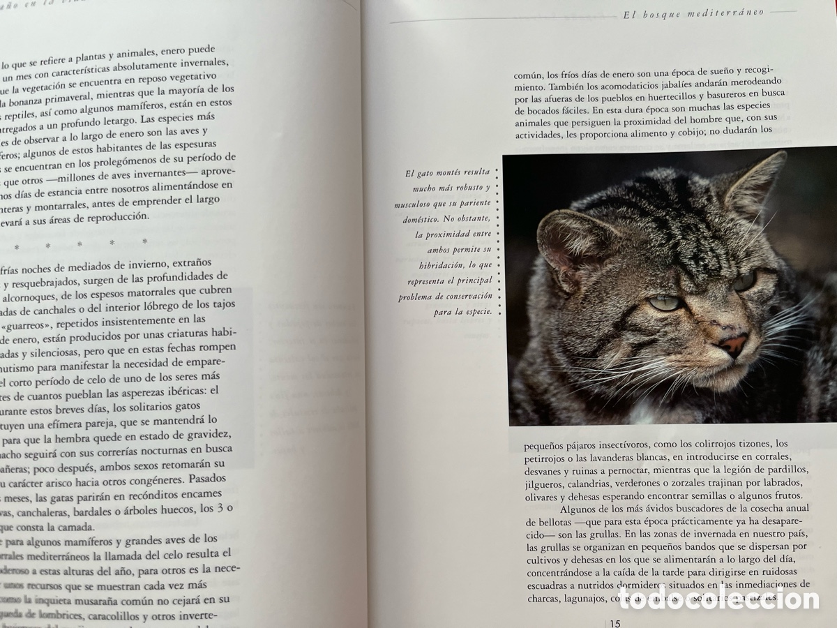 Libros: Libro Un a&ntilde;o en la vida de la Espa&ntilde;a salvaje - Foto 6