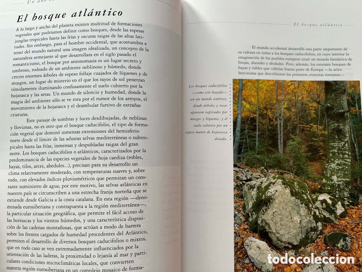 Libros: Libro Un a&ntilde;o en la vida de la Espa&ntilde;a salvaje - Foto 7
