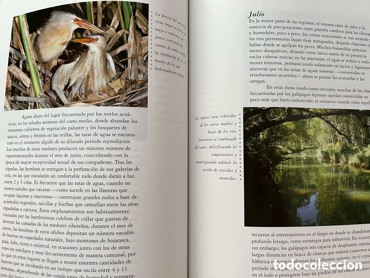 Libros: Libro Un a&ntilde;o en la vida de la Espa&ntilde;a salvaje - Foto 9