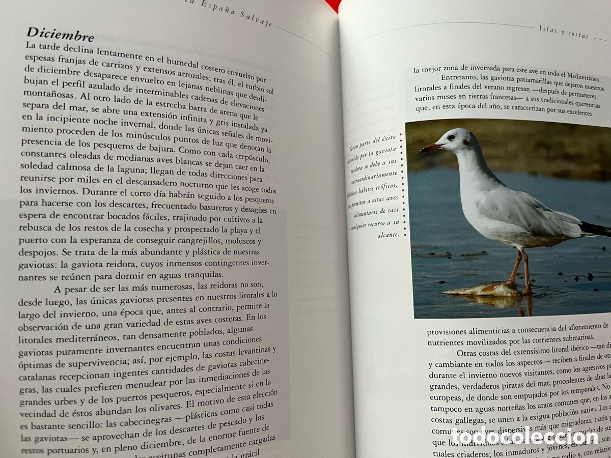 Libros: Libro Un a&ntilde;o en la vida de la Espa&ntilde;a salvaje - Foto 10