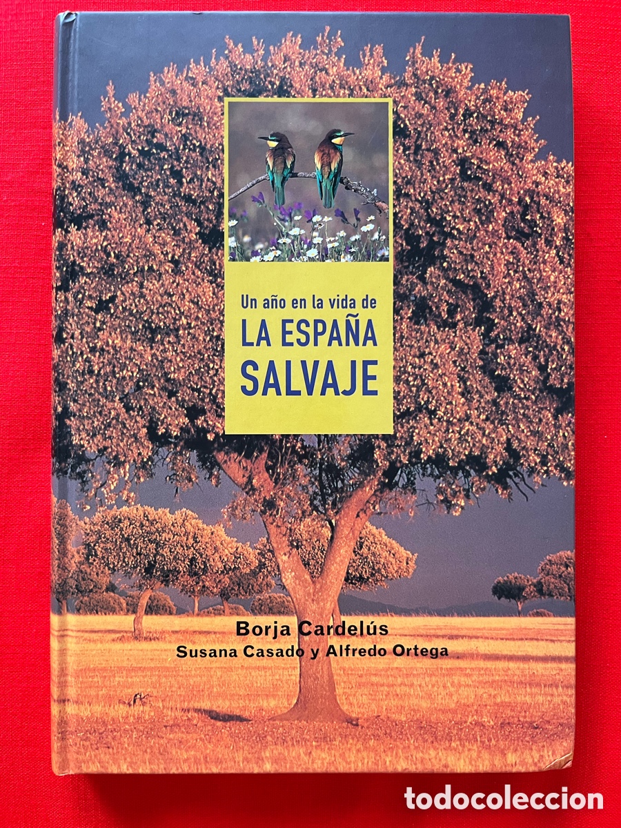 Libros: Libro Un a&ntilde;o en la vida de la Espa&ntilde;a salvaje - Foto 1