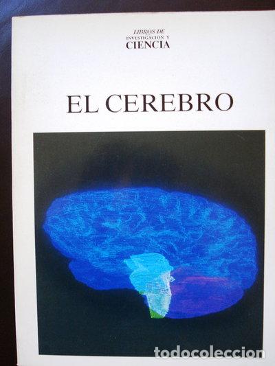B&uuml;cher: El Cerebro- 9788433550033