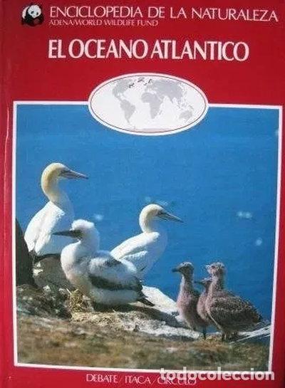 Libros: El oc&eacute;ano Atl&aacute;ntico- 9788486182861