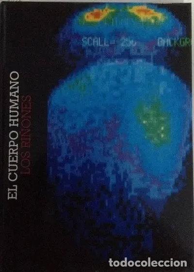 Livros em segunda m&atilde;o: El cuerpo humano. Los ri&ntilde;ones- 9788477585015