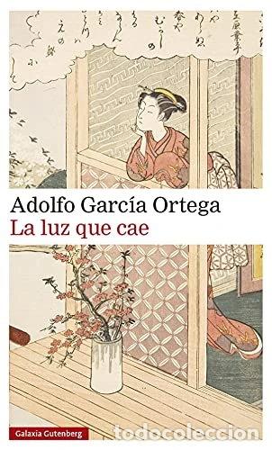 Libros: La luz que cae- 9788418526299