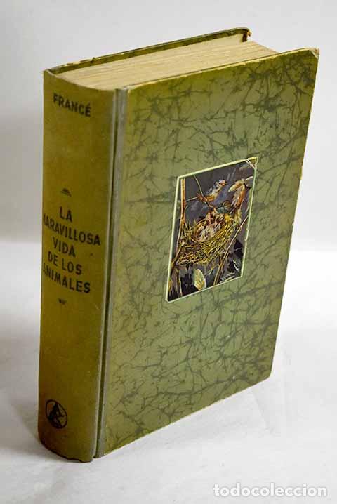 Livros em segunda m&atilde;o: La maravillosa vida de los animales: una zoolog&iacute;a para todos.- Franc&eacute;, Raoul Heinrich