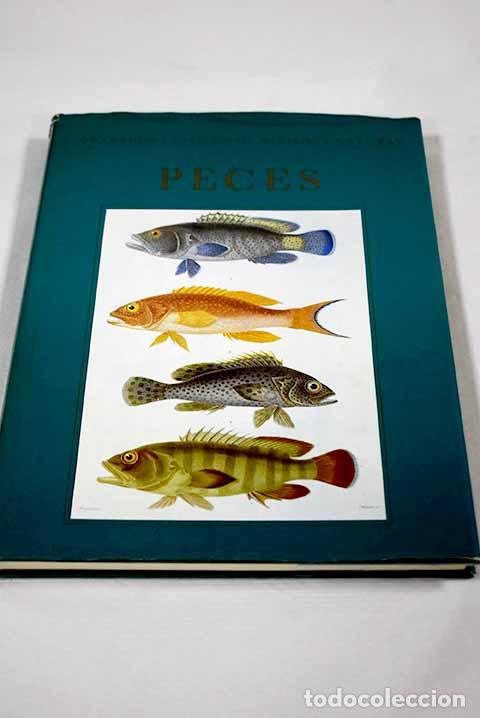 Livros em segunda m&atilde;o: Peces: Dance, S. Peter.- Dance, S. Peter